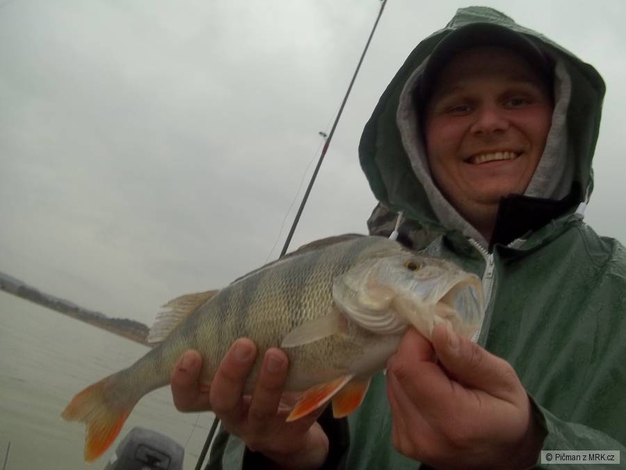rio ebro 43cm