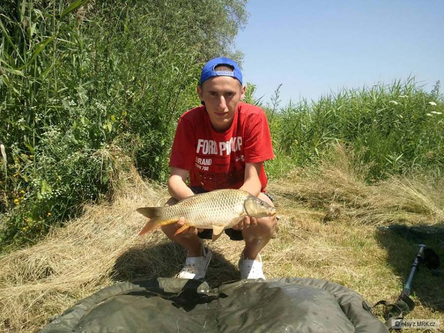 Kapor 55