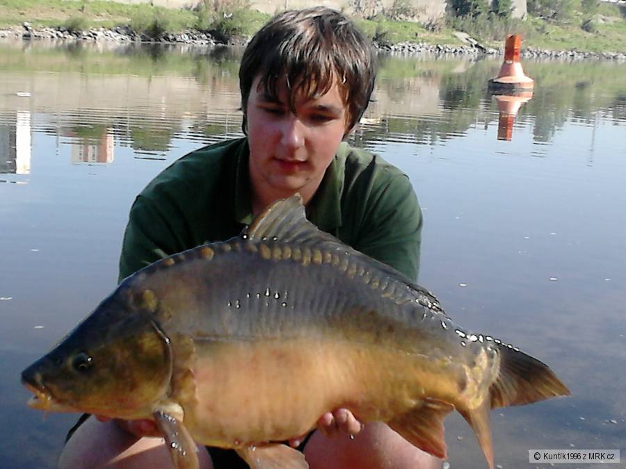 Labský kapřík