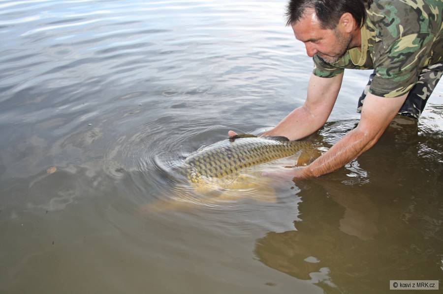 Šupináč 83 cm a 13 kg