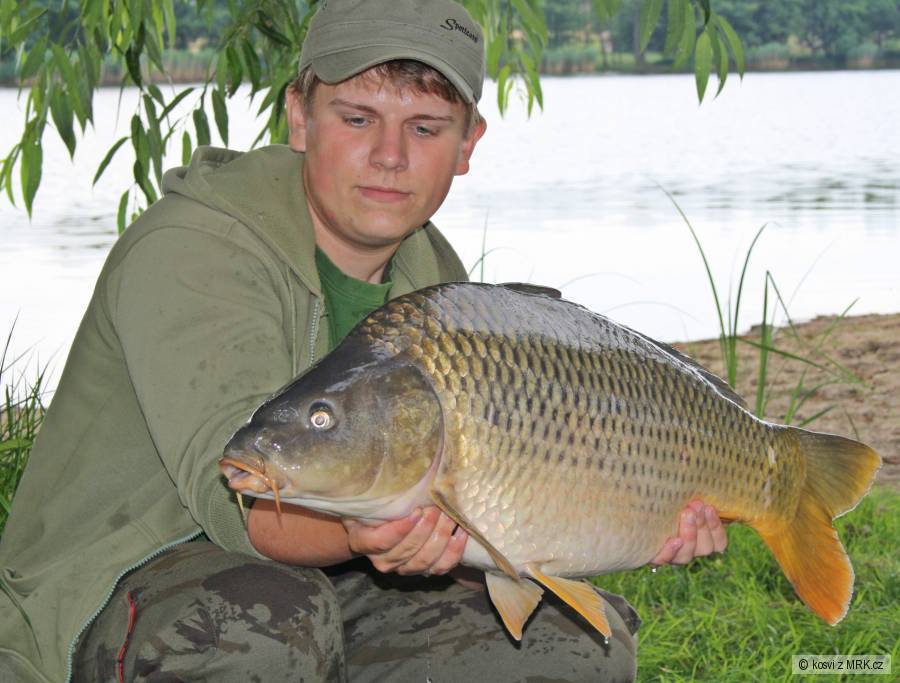 Šupináč 70 cm a 8,50 kg