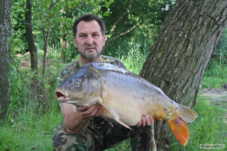 Lysec 82 cm a 12,40 kg