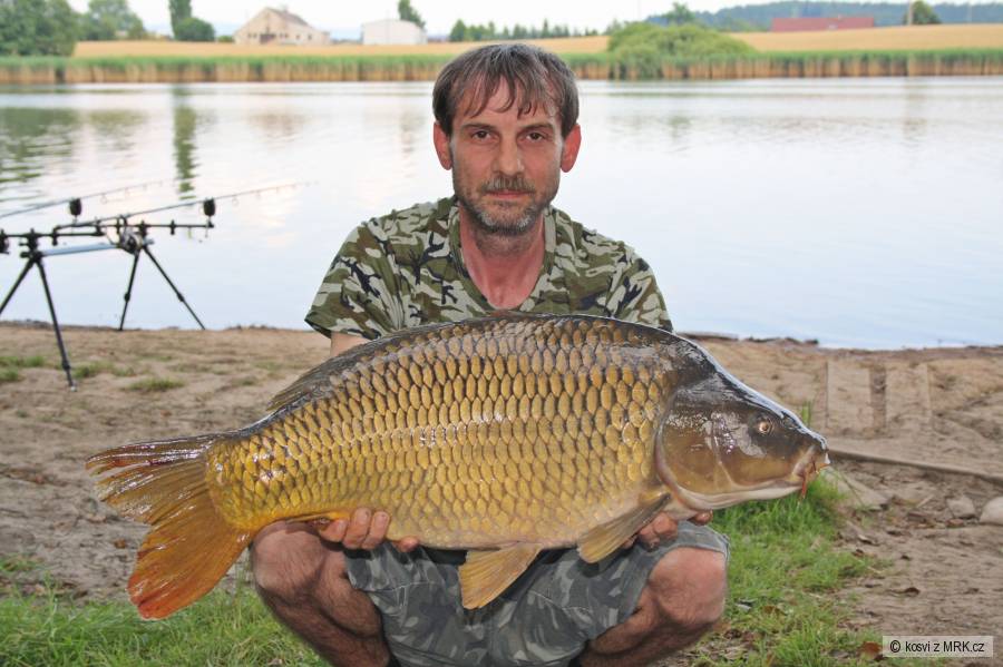 Šupináč 78 cm a 10,80 kg