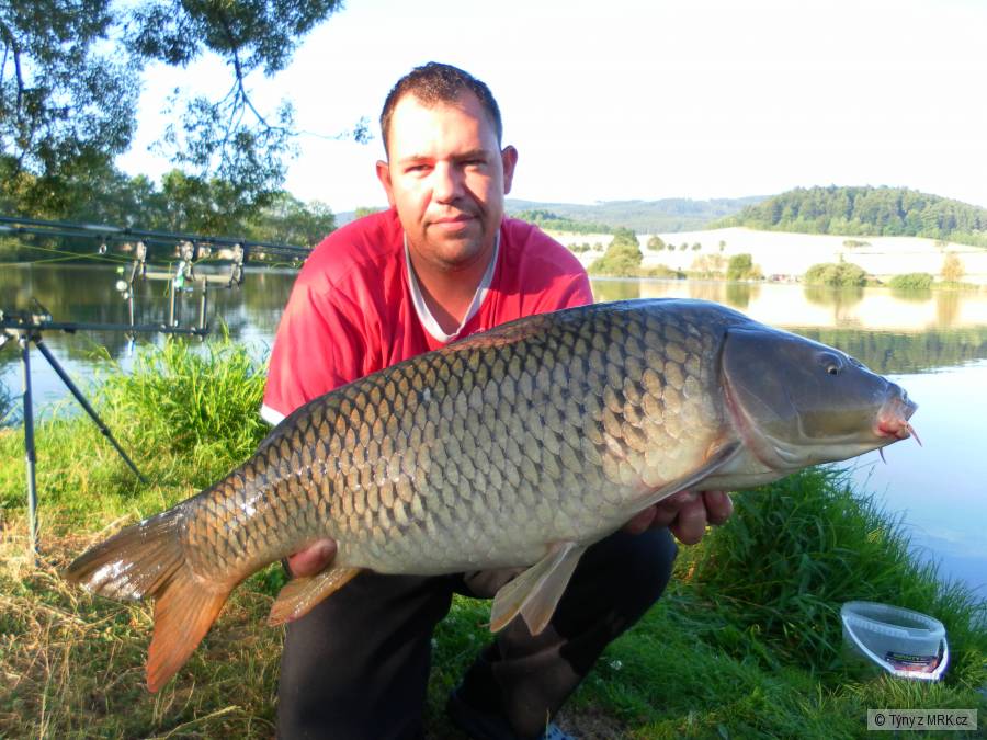 kapr 10,5 kg