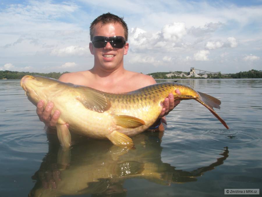 Carp