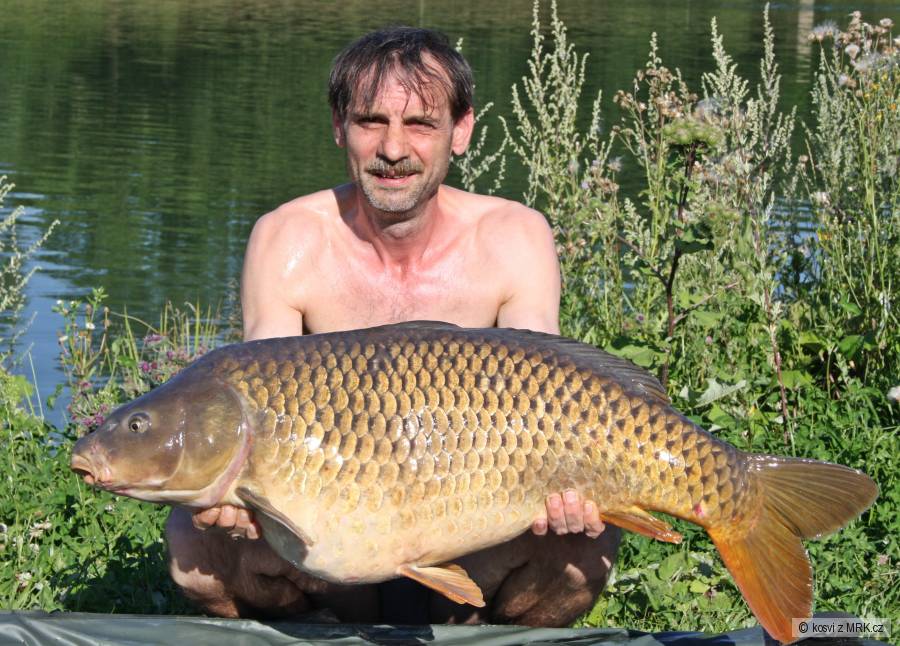 Šupináč 94 cm a 16,60 kg