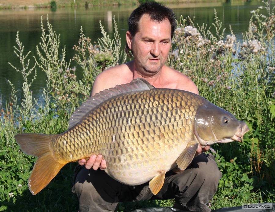 Kulička 82 cm a 15,20 kg