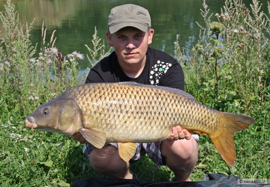 Šupináč 80 cm a 9,70 kg
