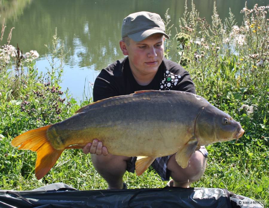Lysec 82 cm a 9,60 kg