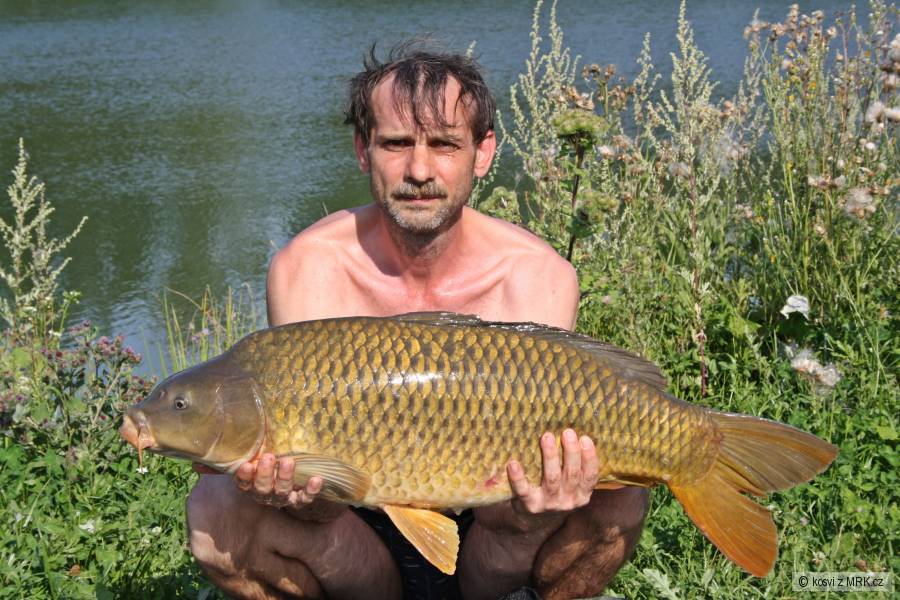 Šupináč 87 cm a 11,30 kg