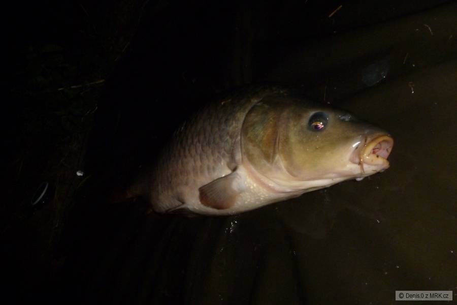 1.denní výprava 4.60kg