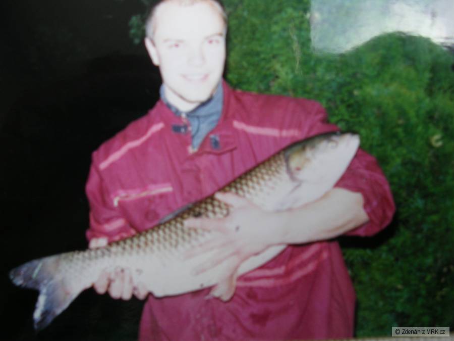 Amur 80cm r.2003