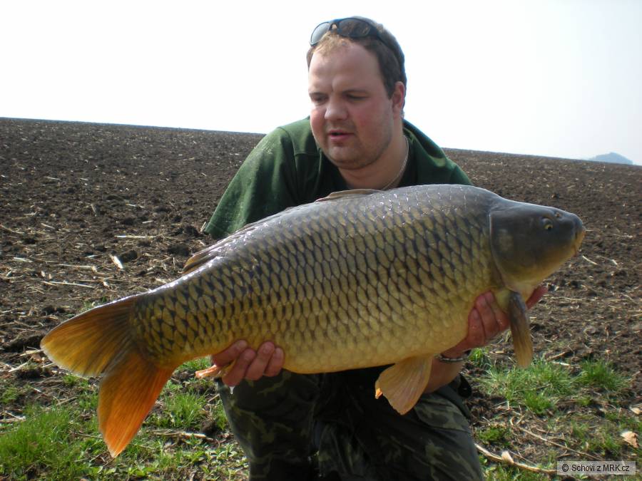 kapr 13.1kg