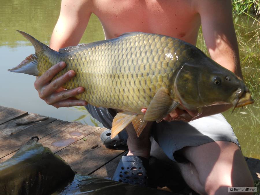 Liščí jezero :)