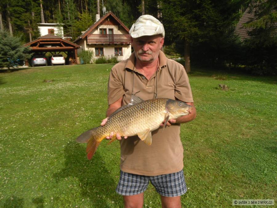 Kapřík