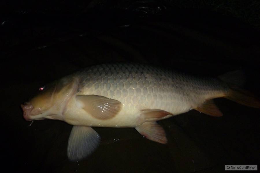 šupík 4.20kg