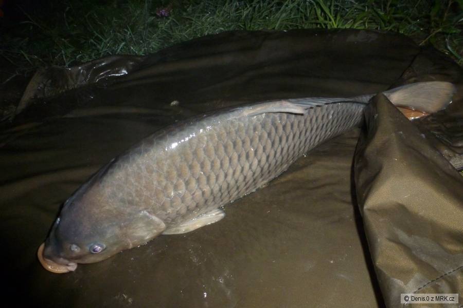 šupík 4.20kg