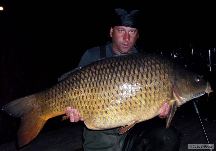 Kapr 102cm 23,10kg