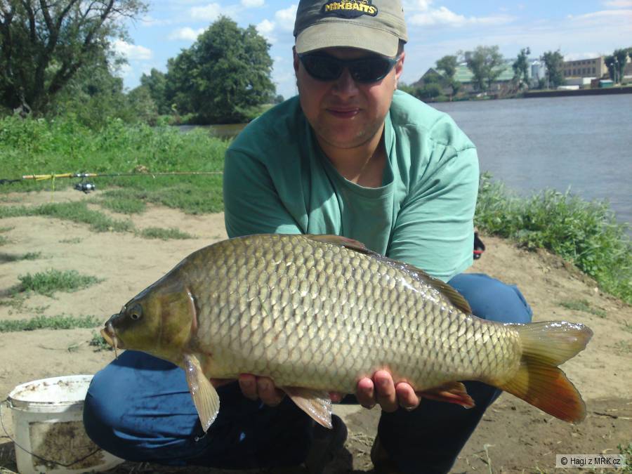 Labe