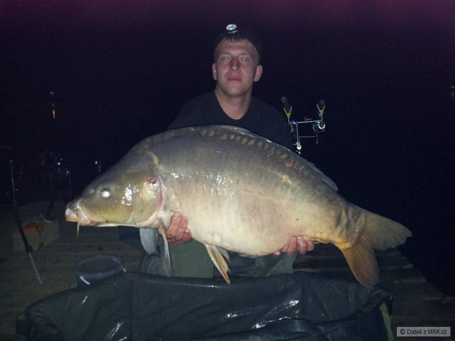 Kapr 93cm-17,5kg