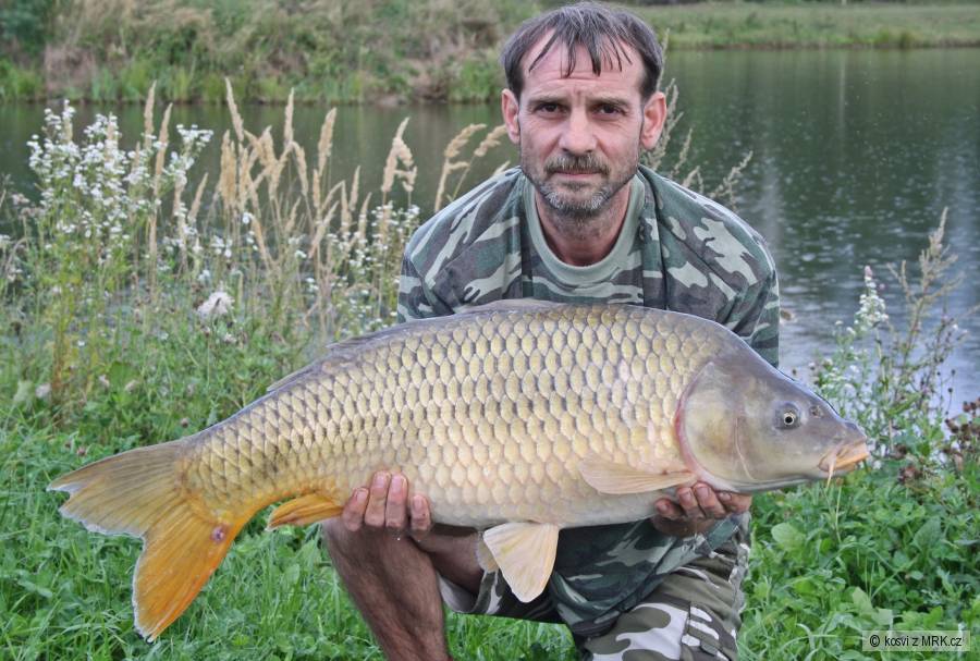 Šupináč 84 cm a 10,70 kg