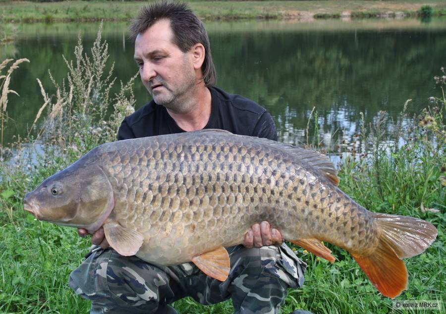 Šupináč 94 cma 16,90 kg