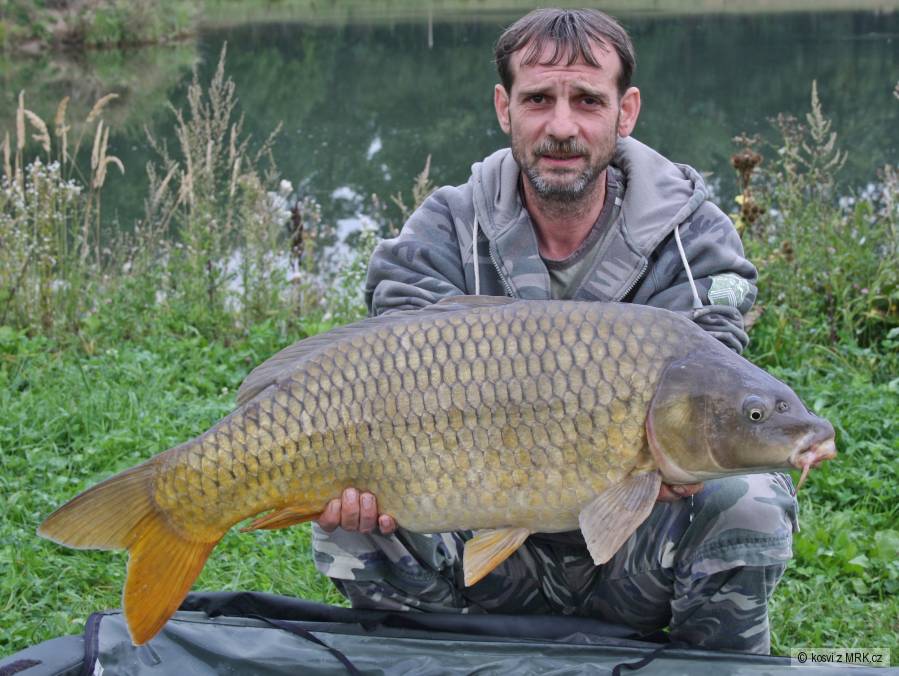 Šupináč 89 cm a 13,70 kg