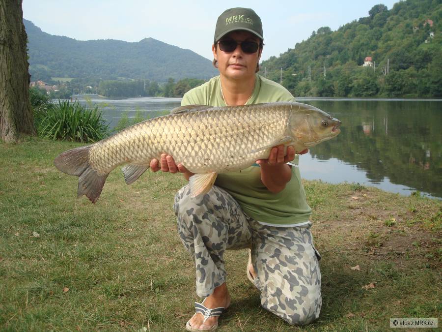 amur 89 cm