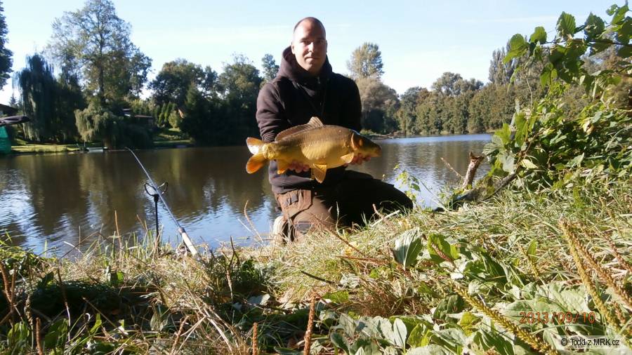 56 feeder