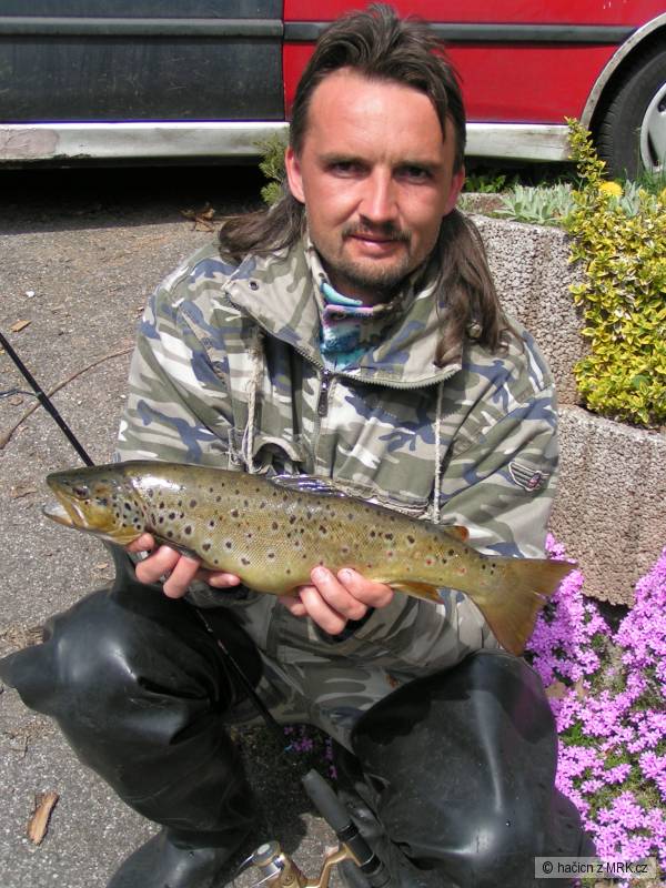 pstruh obecn� poto�n� 50cm-1,25kg