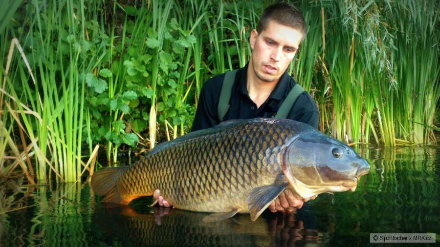 21,8Kg