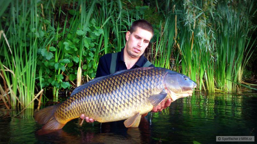 21,8Kg