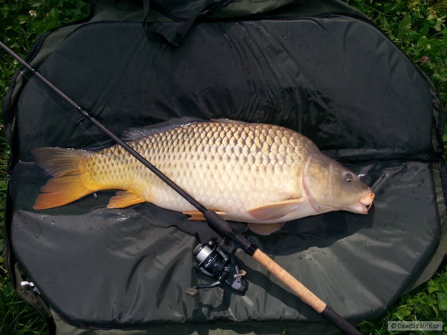 Kapřík na feeder 92 cm