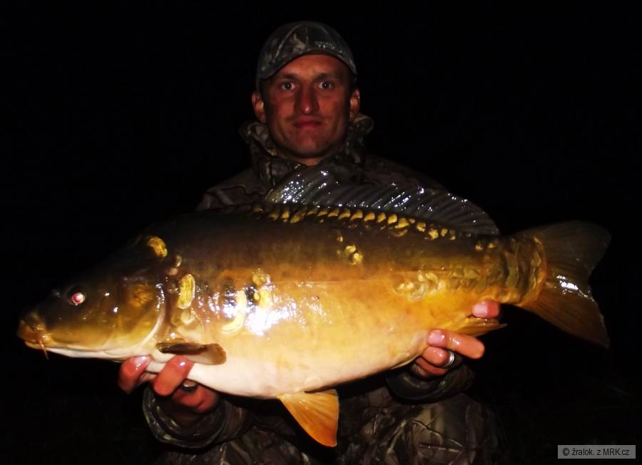 kapr 71cm-7kg