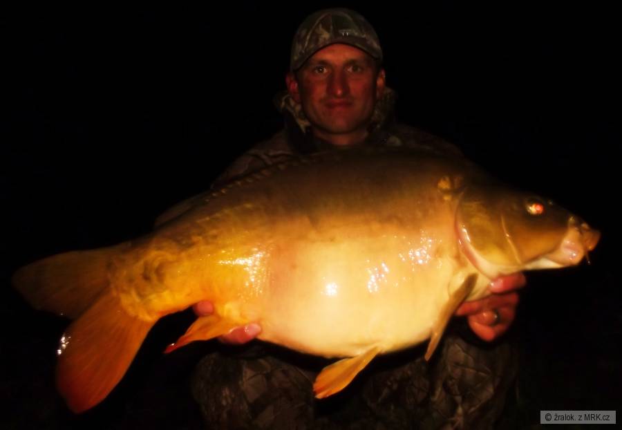 kapr 75cm-9,5kg