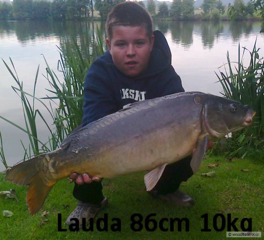 Kapr 88cm