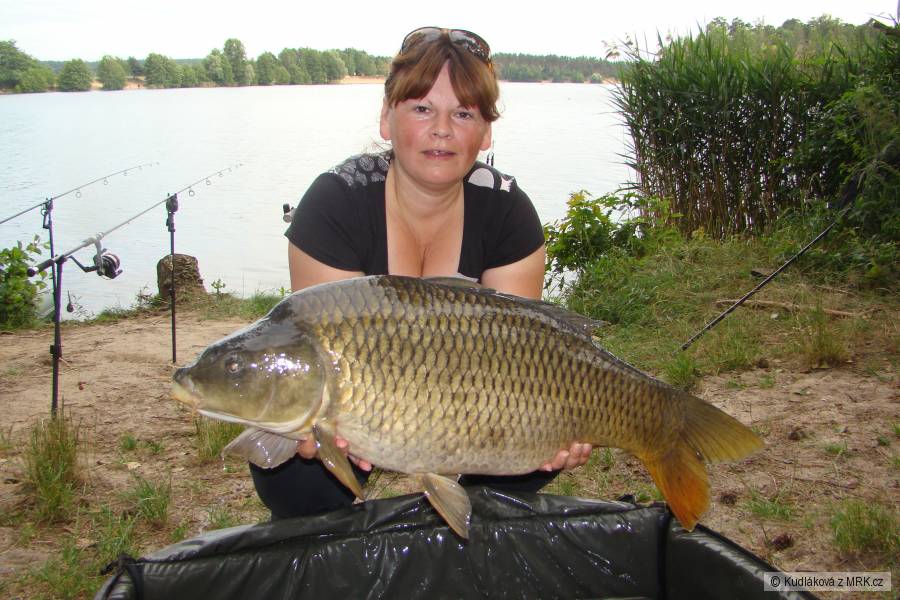 Kapřík