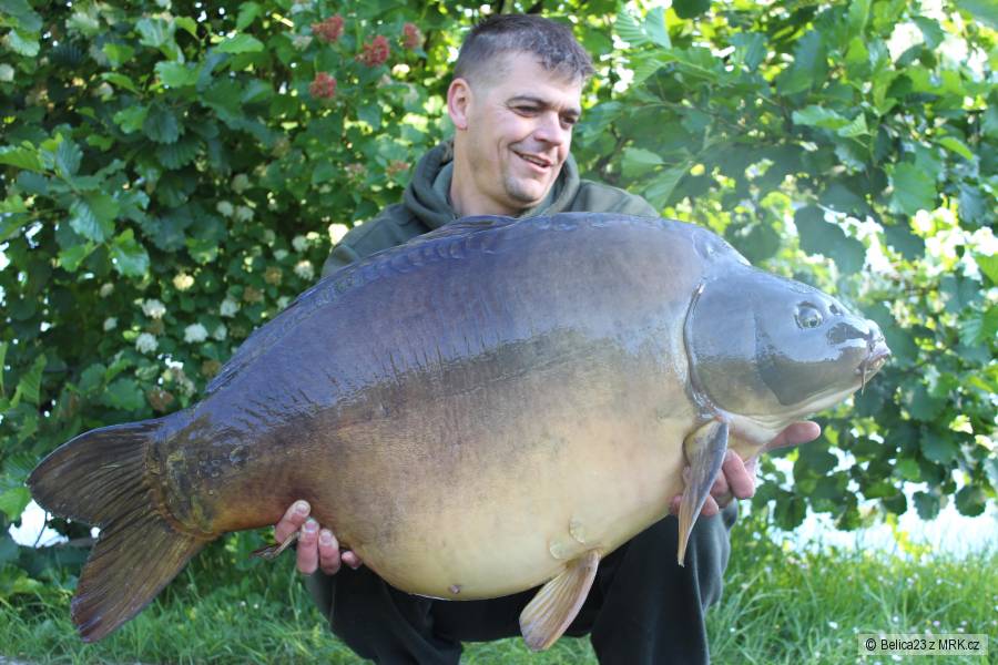 26,4 kg
