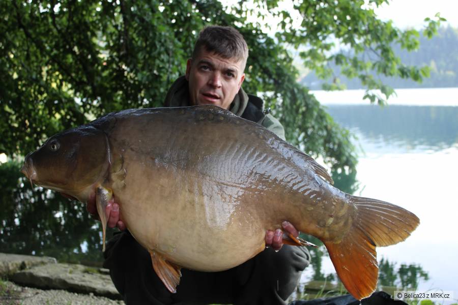 21,1 kg