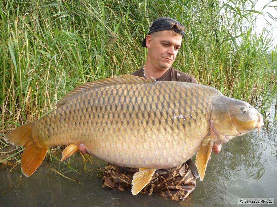 19,5 kg
