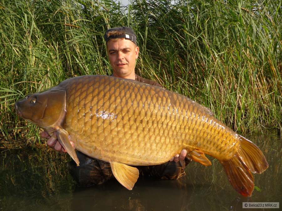 20,5 kg