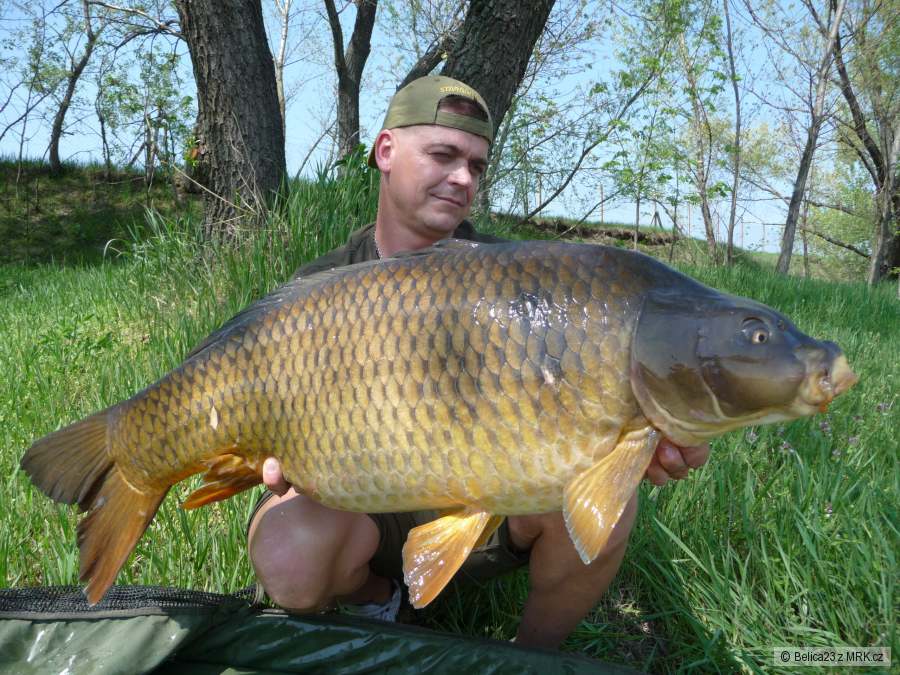 19 kg
