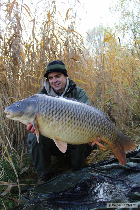 17,7 kg