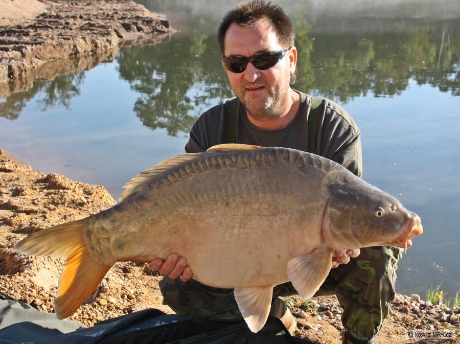 Lysec 82 cm a 13,20 kg