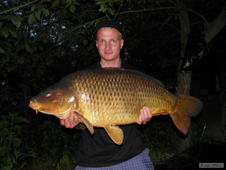 20kg 90cm
