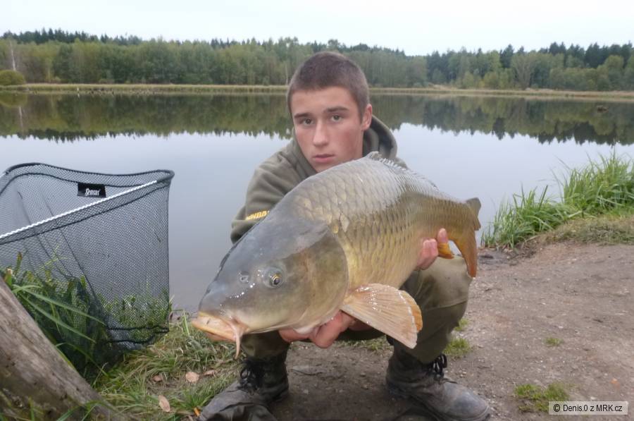 5kg