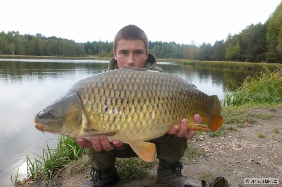 6.45kg