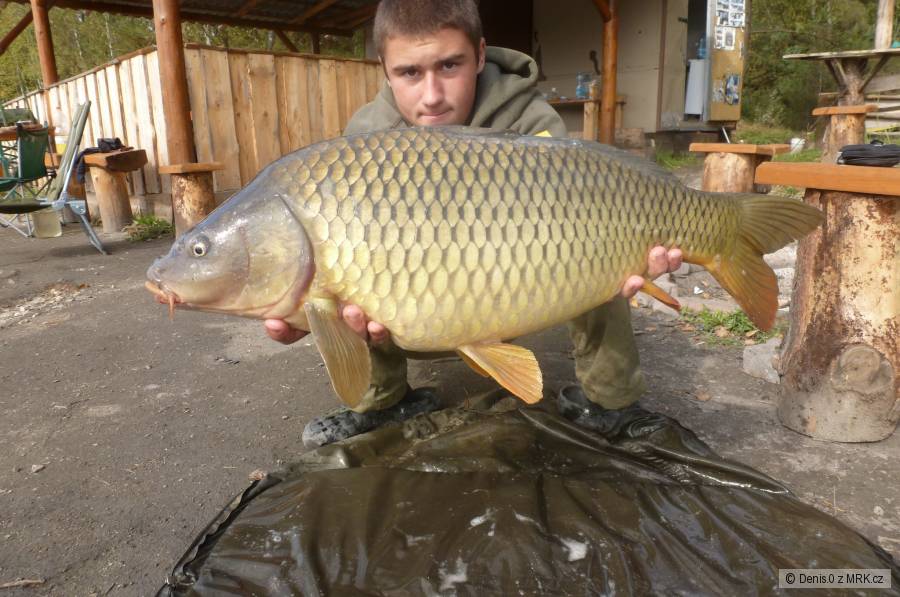 8kg