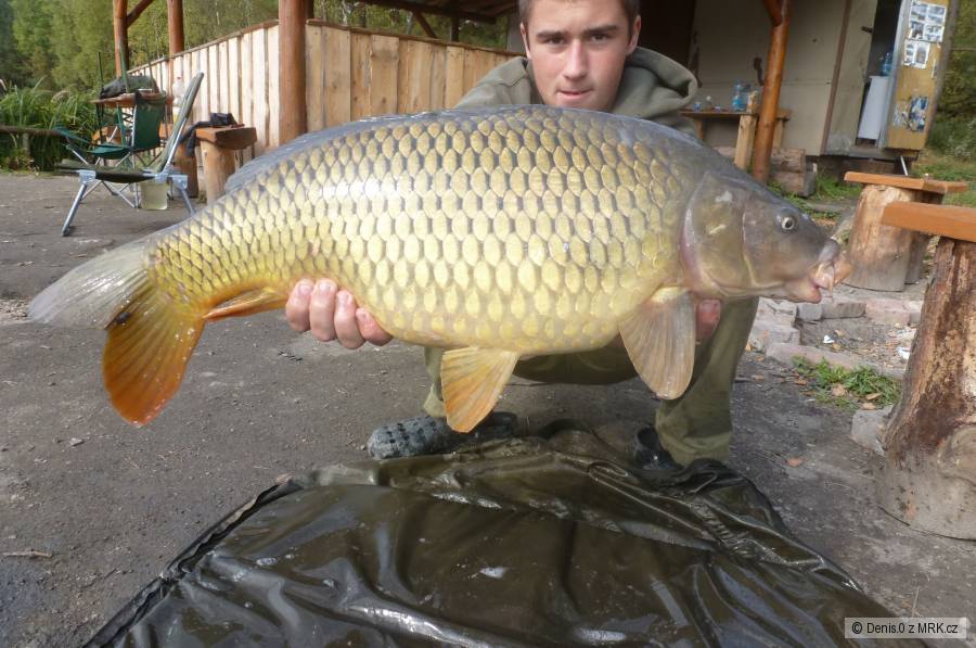 8kg