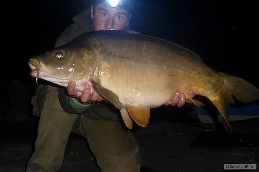 11kg
